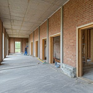 Gemini_Generated_Image_miion2miion2miio-1024x1024