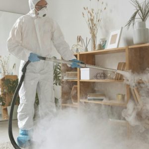 pexels-photo-4176061-4176061-1024x683